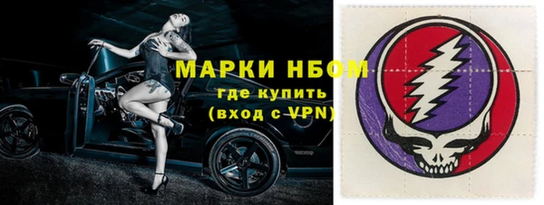 прущие грибы Волосово