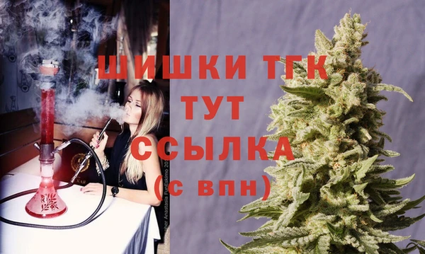 стаф Володарск