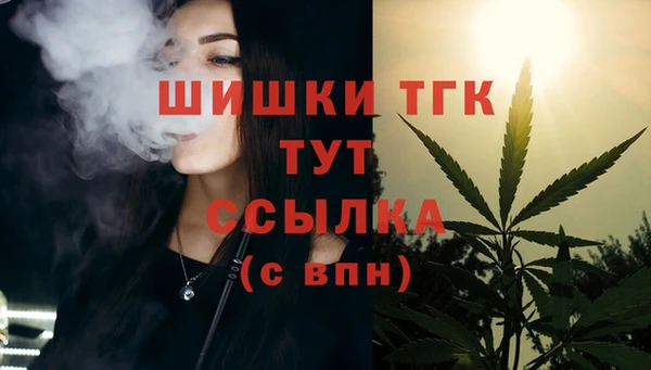 индика Беломорск