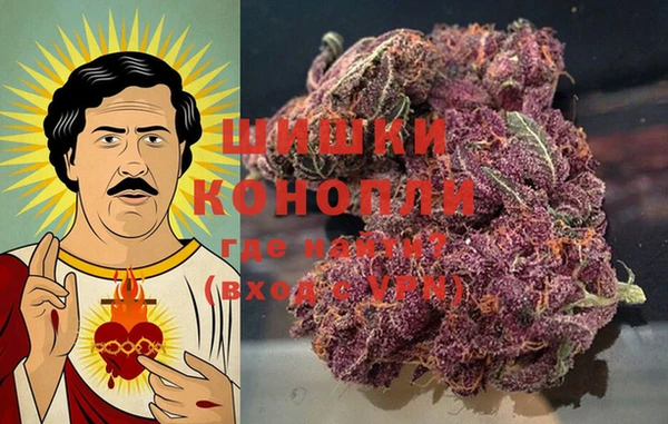 МДПВ Белокуриха