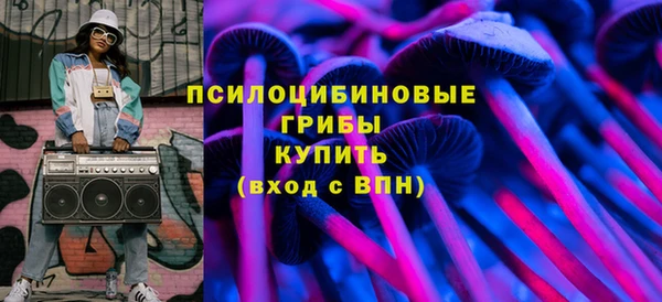 МДПВ Белокуриха