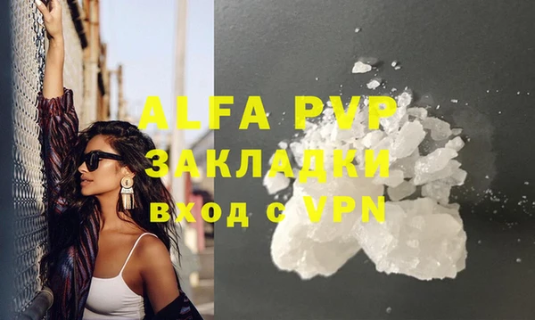 apvp Вяземский
