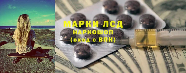 индика Беломорск
