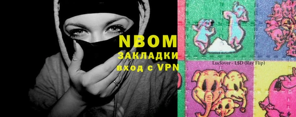 крисы Верхний Тагил