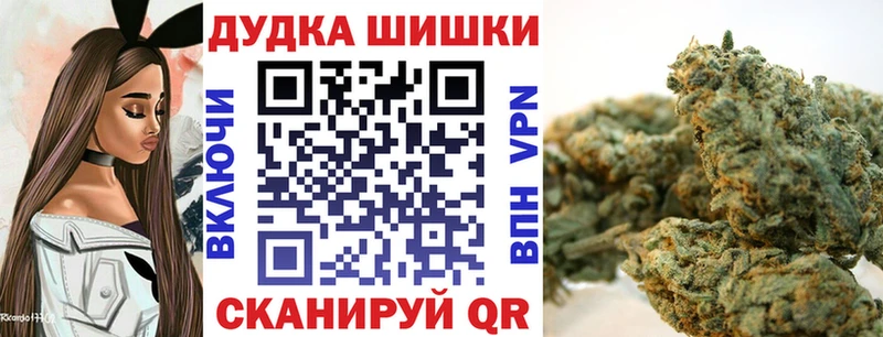 Конопля конопля  где найти наркотики  Нефтегорск 